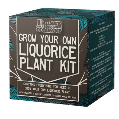 Grow your own liquorice plant kit